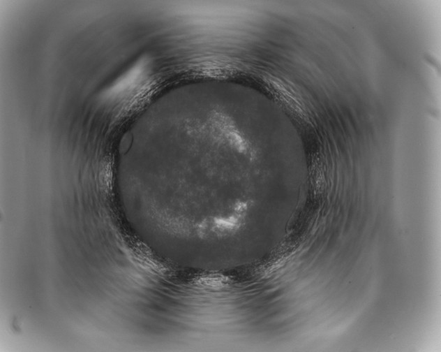 X0000095110595200712211322