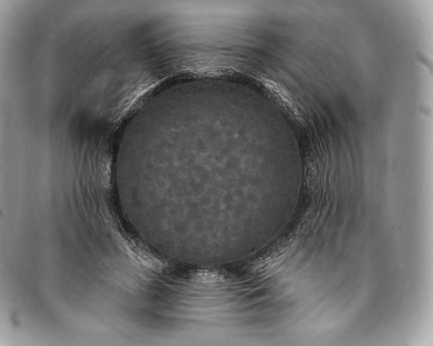 X0000095110596200712211322