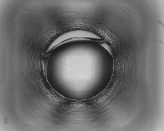 X0000095110597200712211322