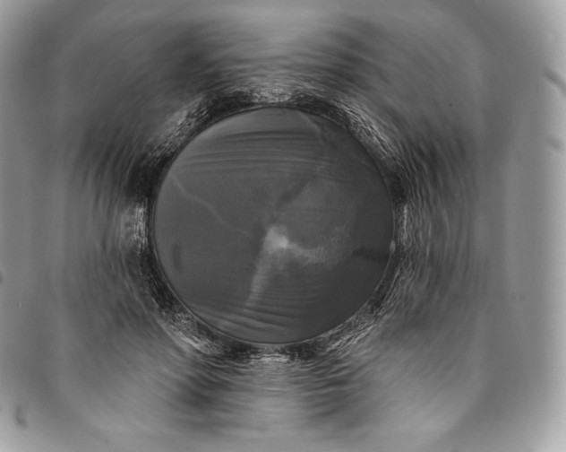 X0000095110598200712211322