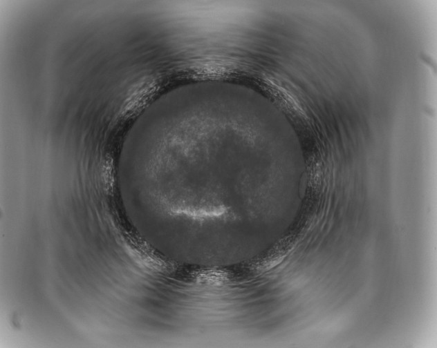 X0000095110599200712211322