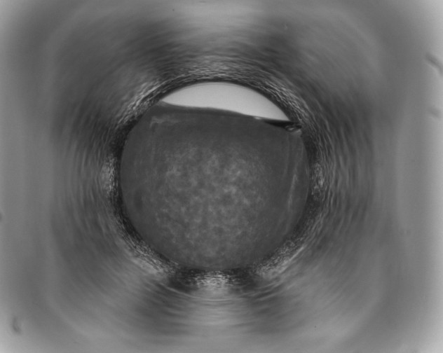 X0000095110600200712211322