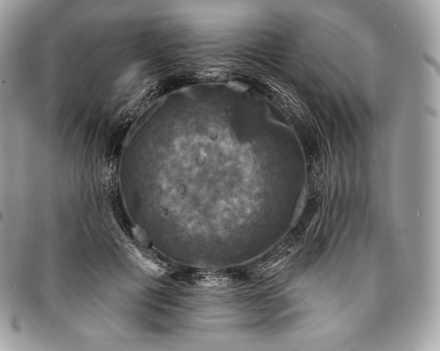 X0000095110601200712211322