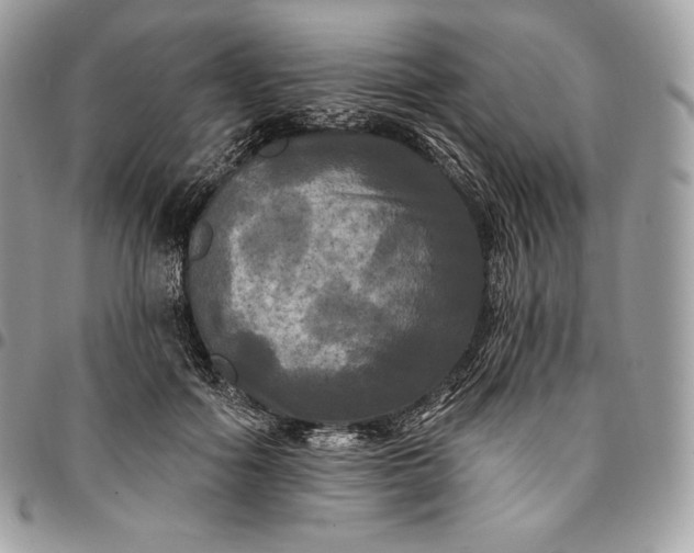 X0000095110602200712211322