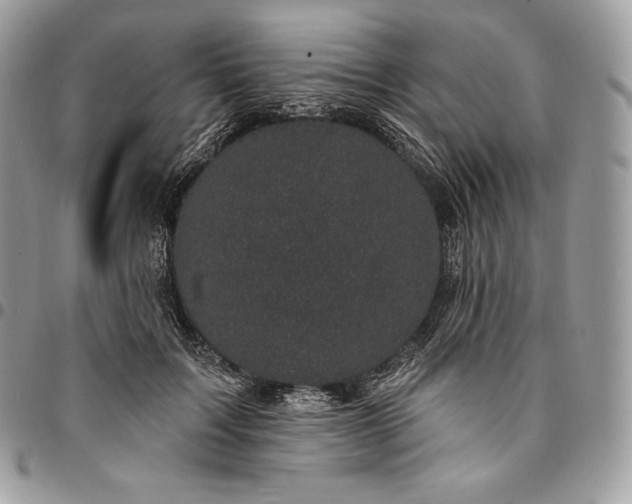 X0000095110603200712211322