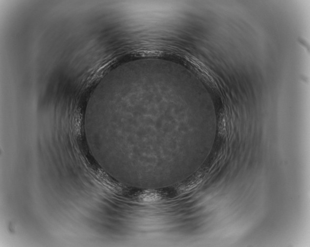 X0000095110604200712211322