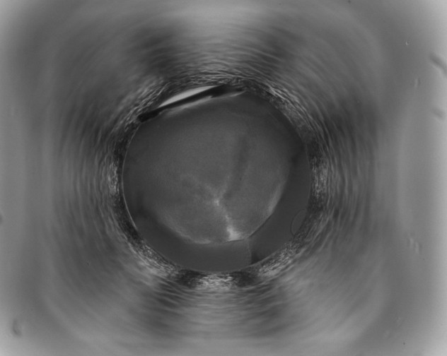 X0000095110606200712211322