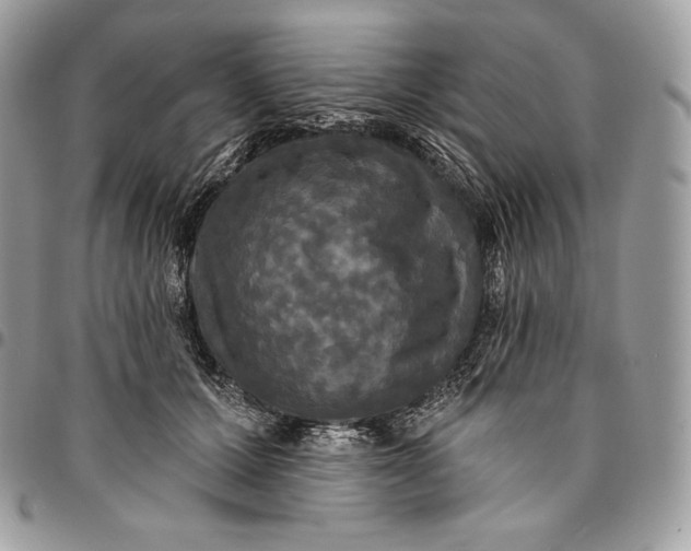 X0000095110607200712211322