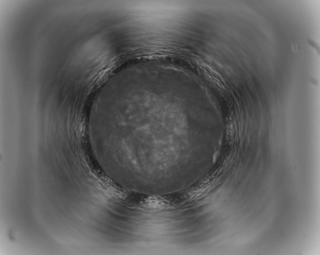 X0000095110608200712211322