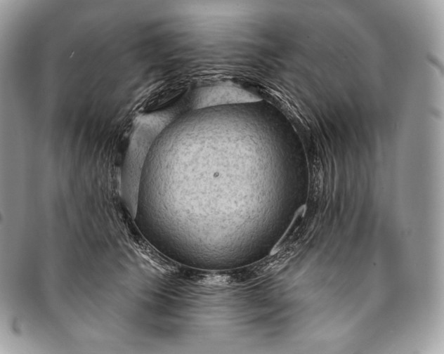 X0000095110609200712211322