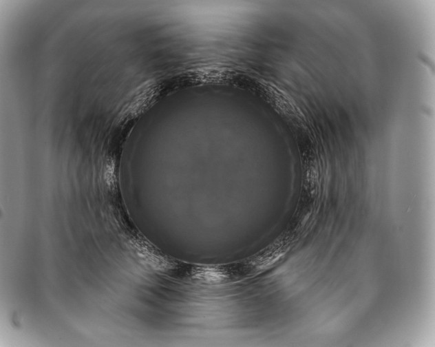 X0000095110610200712211322