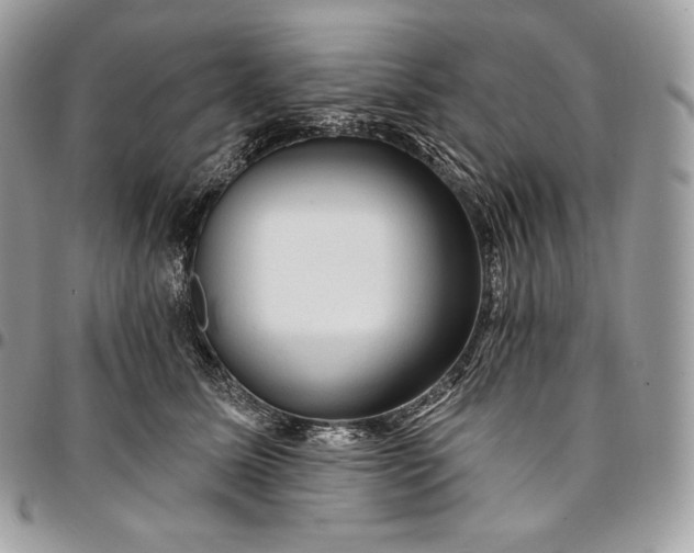 X0000095110611200712211322