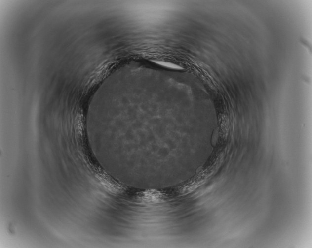 X0000095110612200712211322