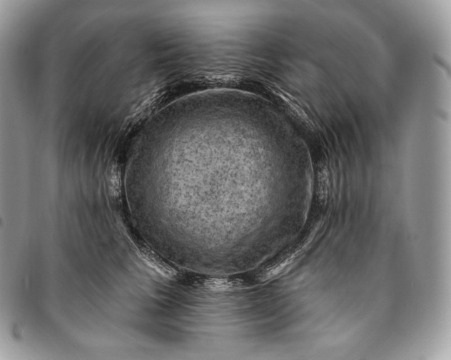 X0000095110613200712211322