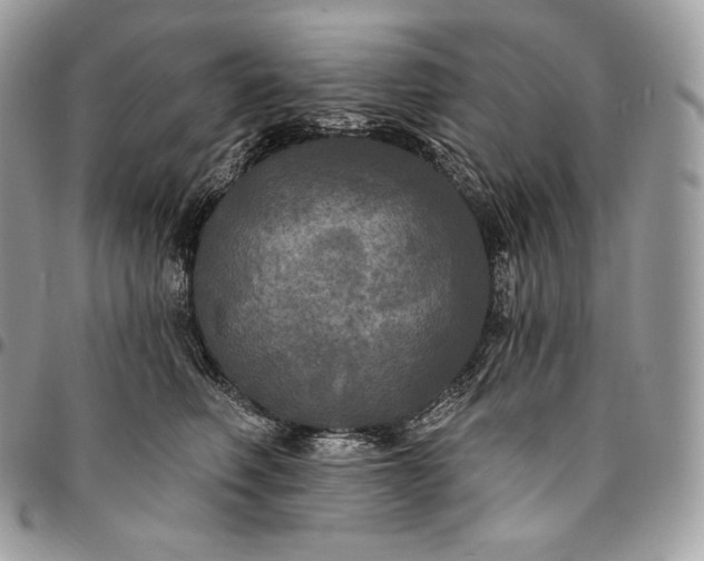 X0000095110614200712211322