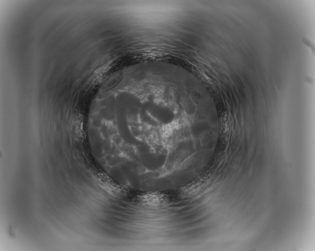 X0000095110615200712211322