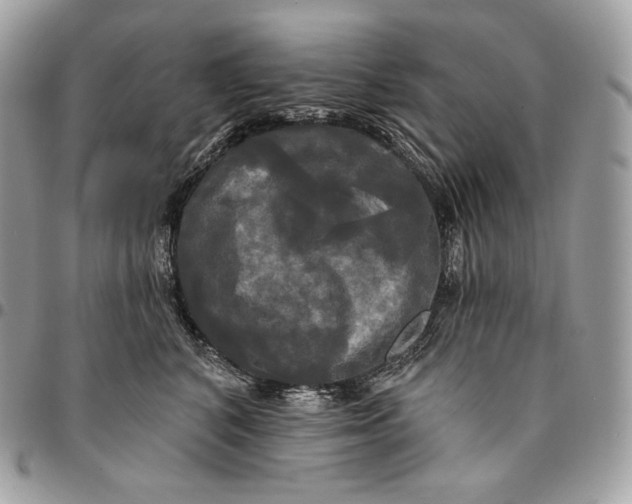 X0000095110616200712211322