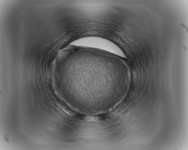 X0000095110617200712211322