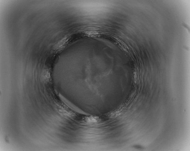 X0000095110618200712211322