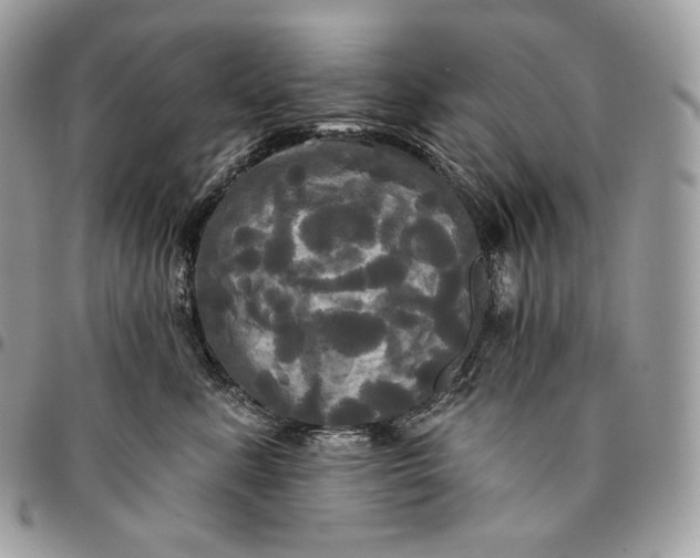 X0000095110619200712211322