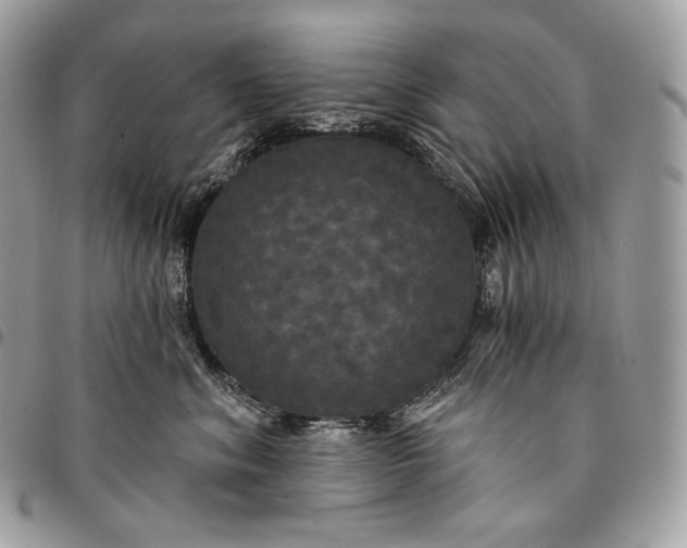 X0000095110620200712211322