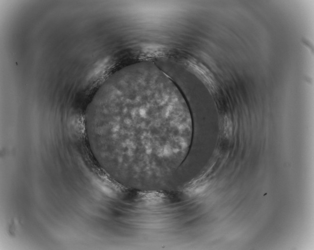 X0000095110621200712211322