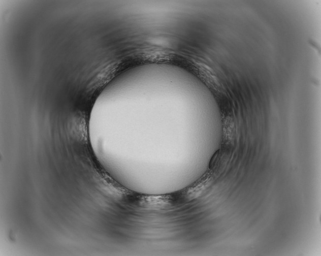 X0000095110622200712211322