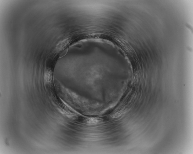 X0000095110623200712211322