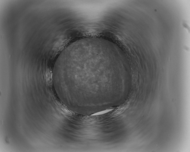 X0000095110624200712211322