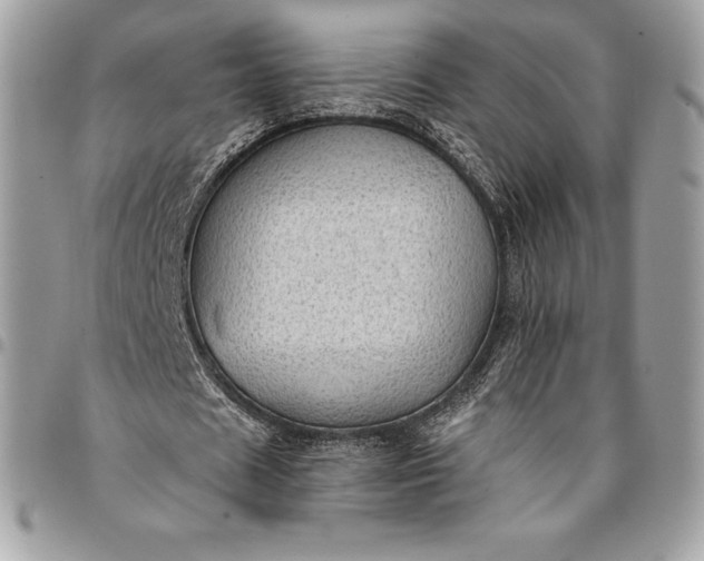 X0000095110625200712211321