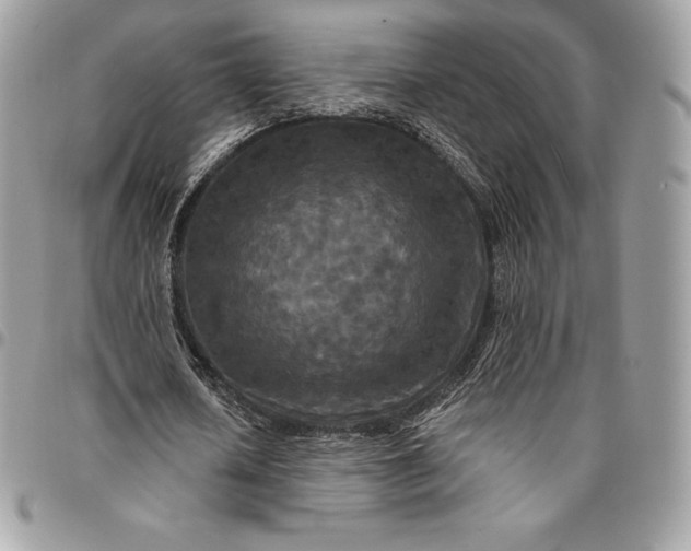 X0000095110626200712211321