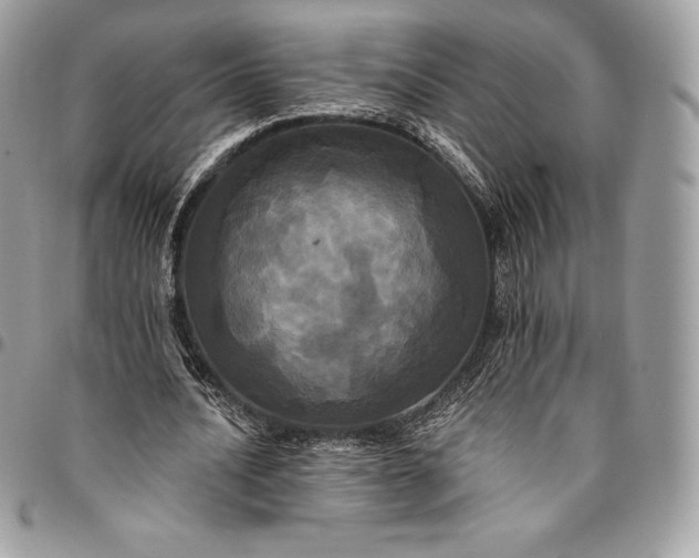 X0000095110628200712211321