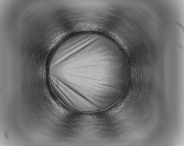 X0000095110629200712211321