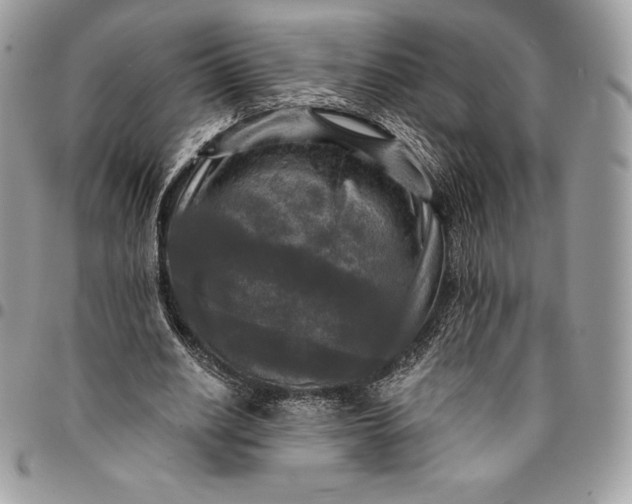 X0000095110630200712211321