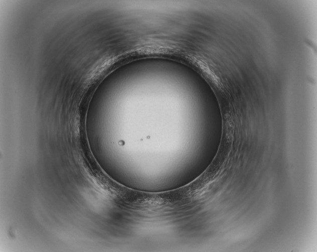 X0000095110631200712211321