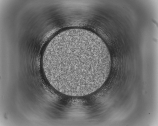 X0000095110632200712211321