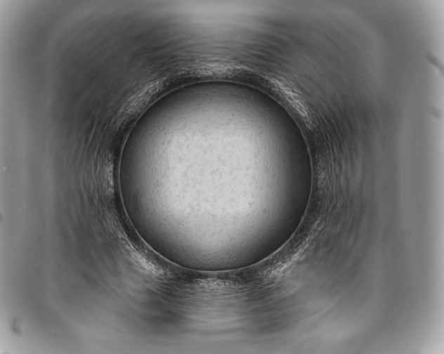 X0000095110633200712211321