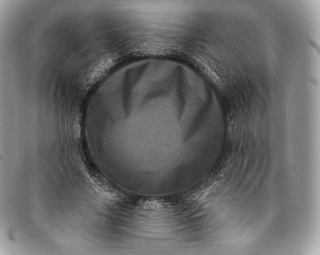 X0000095110635200712211322