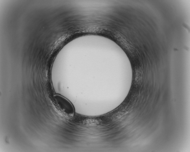 X0000095110636200712211322