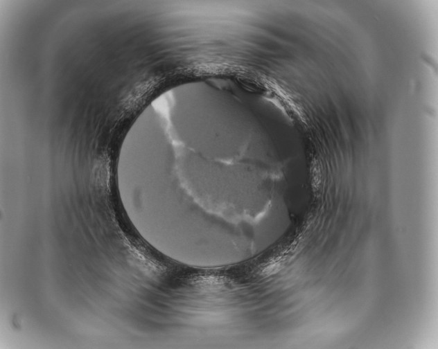 X0000095110637200712211322