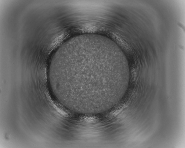 X0000095110638200712211322