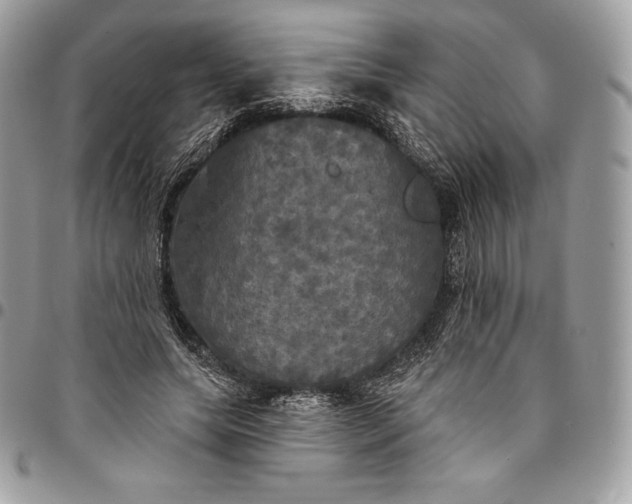 X0000095110639200712211322