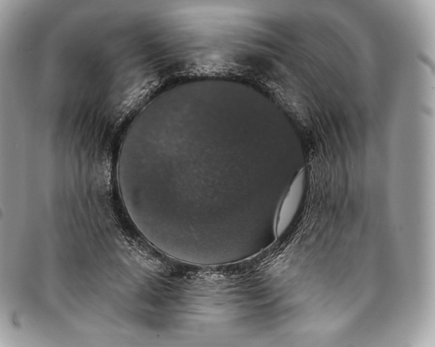 X0000095110640200712211322