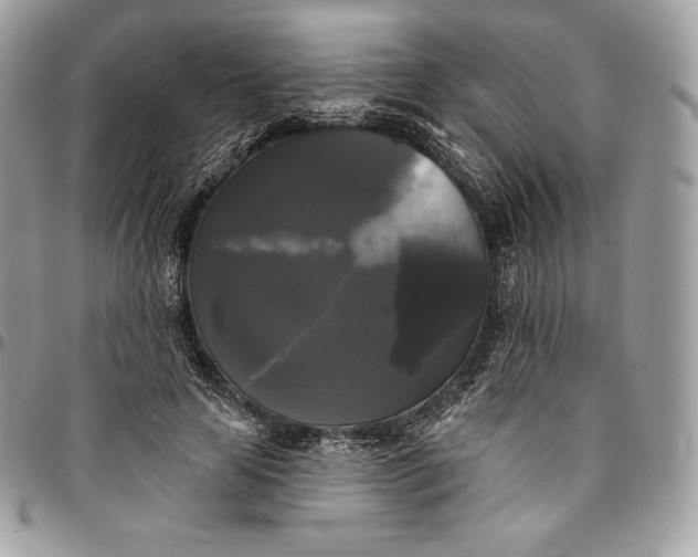 X0000095110641200712211322