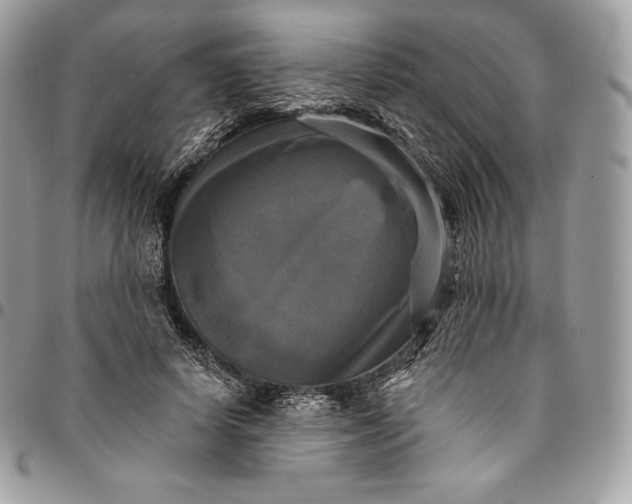 X0000095110642200712211322