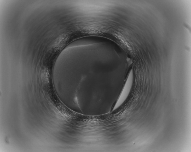 X0000095110643200712211322