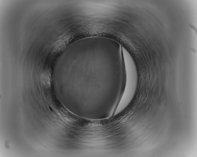 X0000095110644200712211322