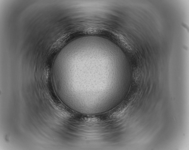 X0000095110645200712211322