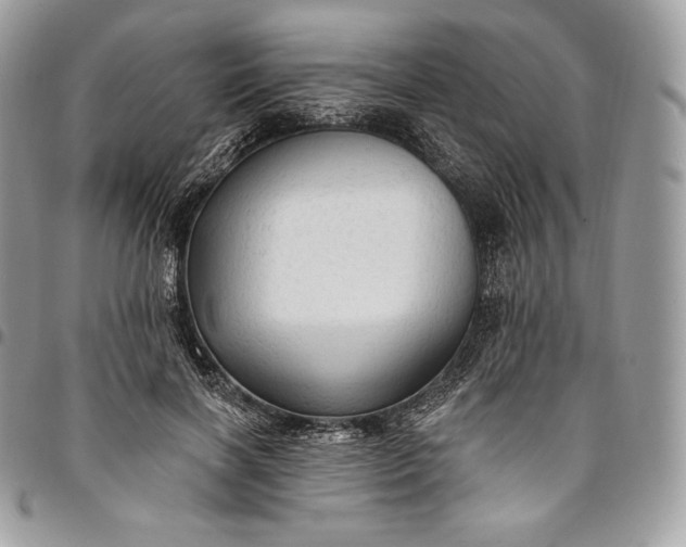 X0000095110646200712211322