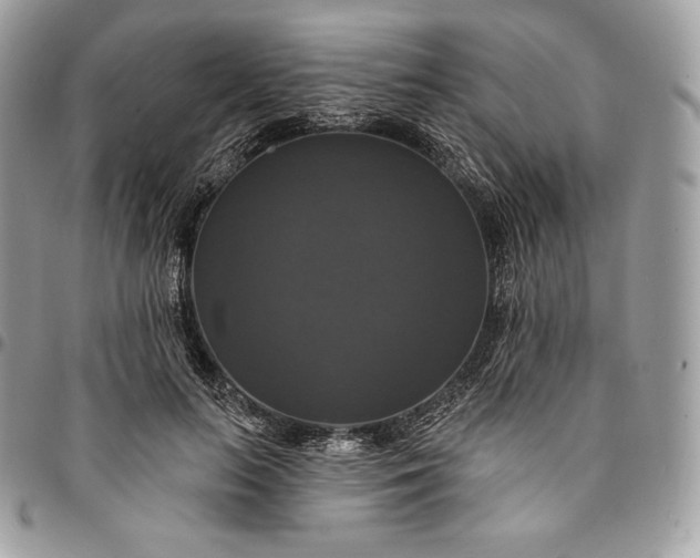 X0000095110647200712211322